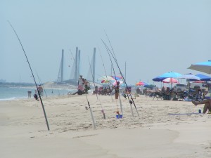 delaware, conquest beach, dssp, dsf, orv fishing, beach access, surf fishing, surf rod, fishing gear, walk on beach, state parks in delaware, sussex county
