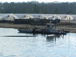 Love Creek is being dredged love creek, dredge, crabbing bridge