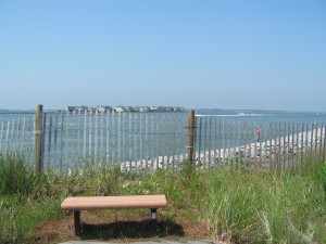View from the deck at the Delaware Center for the Inland Bays View from the deck at the Delaware Center for the Inland Bays