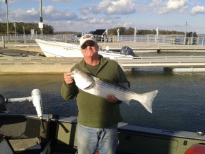Bucktail Bob Bucktail Bob