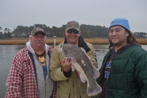 Tautog fishing with First Light Charters tautog, first light charters, delaware surf fishing, wreck fishing, green crabs