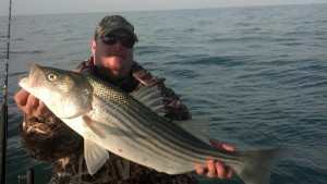 Caleb Shaw striped bass, delaware bay, Hen and chicken shoals