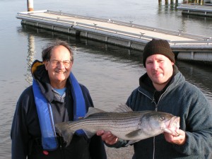 Bob and Rob Kutay striped bass, masseys landing