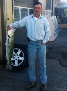 Konstantinos Nikolaou "Gus" with a striped bass he hit long lining a fly indian river inlet, bubble gum beach, striped bass, rockfish,