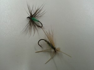 caddis flies caddis flies, saltwater fly anglers of delaware
