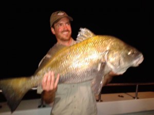 black drum fish, Andrew tawes, Outdoors delamrva, delaware family fishing, dsf, delaware surf fishing