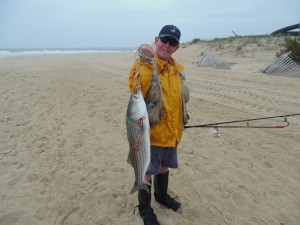 dsf, delaware surf fishing, striped bass, indian river inlet, delaware seashore state park