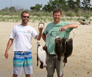 summer flounder, dsf, delaware surf fishing, cape henlopn, inner wall, yellow gulp, kayak fishing in delaware