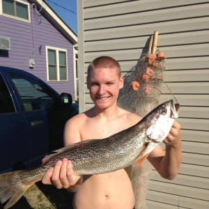 trout, sea trout in delaware, Cynoscion regalis, dsf, delaware surf fishing,, weakfish, broadkill beach, Gray Trout, Yellowfin Trout, Squeteague, Tiderunner