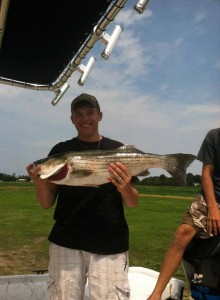 striped bass, rockfish, line sider, indian river inlet, dsf