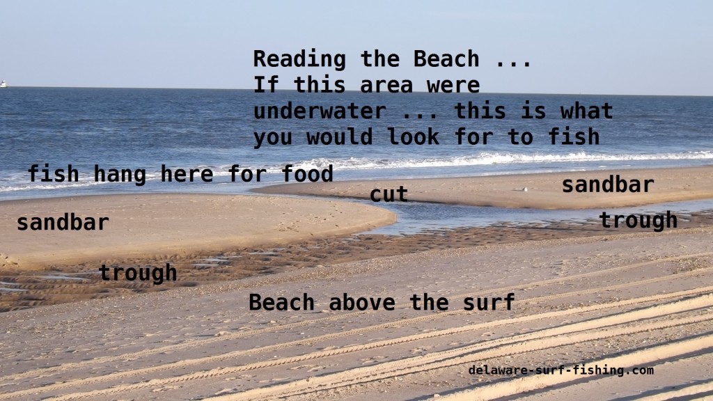 the point, cape henlopen state park, reading the surf, delaware surf fishing, dsf