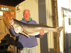 striped bass, linesider, rockfish, delaware bay, dsf, delaware surf fishing