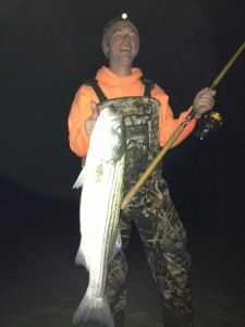 striped bass, linesider, rockfish, fresh bunker, surf fishing for bass, atlantic fish,