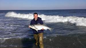 striped bass, delaware surf fishing, linesiders, rockfish, rock the rocks,