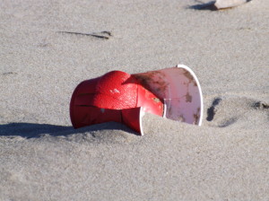 solo cups, cape henlopen state park, beach clean up,