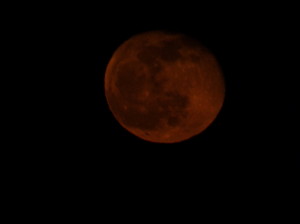 blood moon, pink moon, fish moon