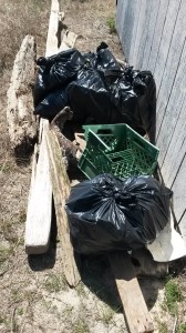 beach clean ups, fenwick Island state park, delaware beaches