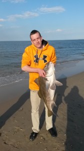 black drum, surf clam, beach plum island, bills sport shop, old inlet bait and tackle, ricks bait and tackle, bretheren of the coast, delaware fisherwoman, atalantic drum, sand fleas