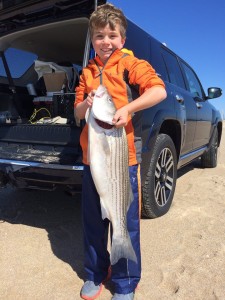 striped bass, 3rs beach, bunker, ocean view DE, Atlantic migration fish,