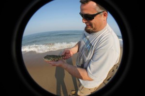 puffer fish, blowfish, blow toad, cape henlopen state park, beach fishing, ghost towers,