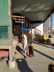 lewes canal, striped bass, pink gulp, Atlantic migration fish, light tackle