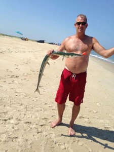 houndfish, needlefish, fenwick island, atlantic fish,