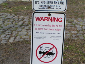 fish consumption advisory in Delaware, eating fish safely in delaware, sussex county, kent county, new castle county,