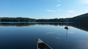 The Lake