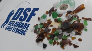sea glass, sand dollar, beach combing, conquest beach, delaware seashore state park, clean beaches