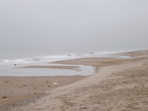beach conditions, carved surf, cuts, troughs, sand bars, delaware seashore state park