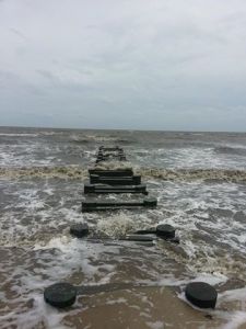 kitts hummock, delaware bay, noreaster, tidal flooding, wind surge, route 9 bay beach, flooding