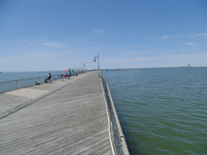 Cape Henlopen Fishing Pier, harbor of safe refuge