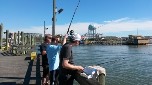 oceanic pier, fish the fifty, ocean city maryland, bluefish, pier fishing, atalantic ocean pier fishing, ocean city inlet,