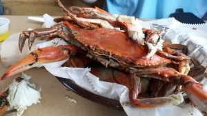 Hoopers crab house, steamed blue crabs, picking crab meat, all you can eat, isle of wight bay, route 50 bridge