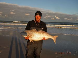 Assateague island, red drum, shark whisperers, drum run 2014