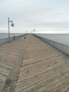 Cape Henlopen Fishing Pier