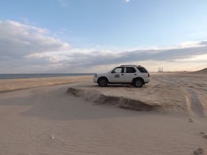 faithful steward crossing, savages ditch, beach conditions in delaware