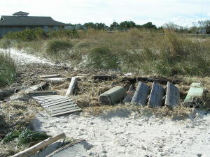 Beach restoration act, beach re[plensihsment, beach debris, hurricane sandy, beach clean up, cape henlopen