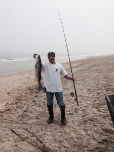 keeper striped bass in the surf of Delaware, rockfish, rock the rocks, jetty jockeys, sandblasters, migratory atlantic fish, fall run, spring run, bunker heads, chunkin bunka