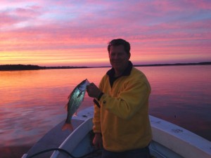 isle of wight bay, short striped bass,