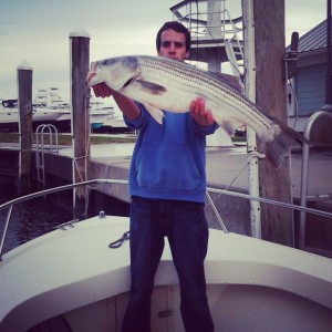 striped bass, indian river inlet, the rock pile, jetty fishing, live spot, atlantic migratory fish