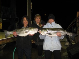 delaware fisherwoman, striped bass, rockfish, lil angler II, bethany lumps, ocean striped bass, migratory fish, mojos, stretch, bombers, atlantic fish,
