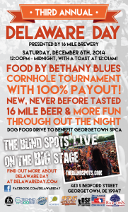 Delaware Day, 16 mile brewery, delaware center for the inland bays, techno goober, delaware surf fishing, corn hole tournament,