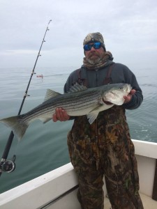 striped bass, jeff weaver, delaware surf fishing, rockfish, linesider, atlantic migratory fish, fall run