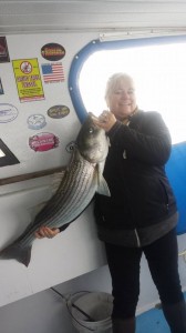 striped bass, lil angler II, lewes charter boats, head boats, atlantic migratory fish, fall run, overfalls shoals,