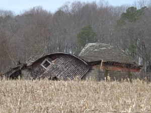 Old Barn on Long Neck Road