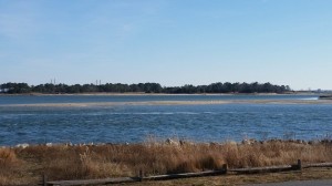 pot nets seaside, masseys ditch, low wintertide, sandbars, gulls feeding on clams, indian river bay, rehoboth bay, indian river bridge, old inlet,