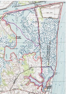 1000 Acre Marsh in Delaware, delaware wildlands, bird watching, waterfowl hunting, kayaking, fishing, ecotourism, thousand acre marsh