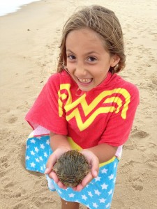 burr fish, cape henlopen state park, surf fishing, delaware, sussex county