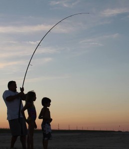 dnrec fish and wildlife photo contest, amy baldwin, first place, delaware, sussex county, delaware seashore state park